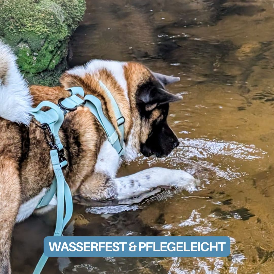 Y-Hundegeschirr WOOFLEX® 4fach-verstellbar mit Griff und Sicherheitsschnallen Jade Green - wasserfest