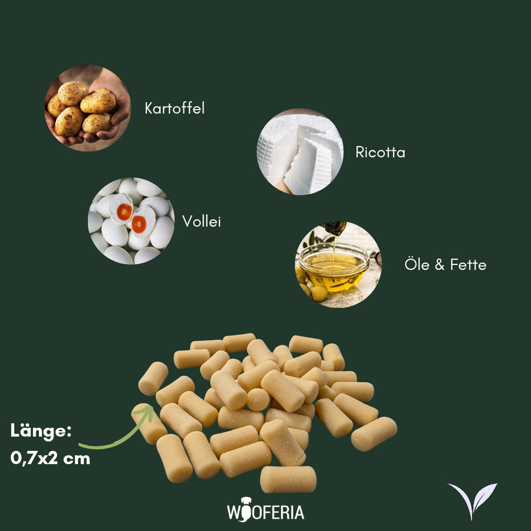 Ricotta Trainings Softies