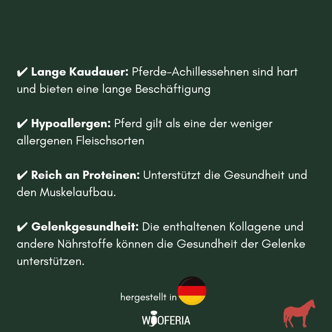 DunkelgrĂŒne Infografik mit weiĂer Schrift zu Pferde-Achillessehnen, deutscher Flagge, WOOFERIA-Logo und roter Pferdesilhuette