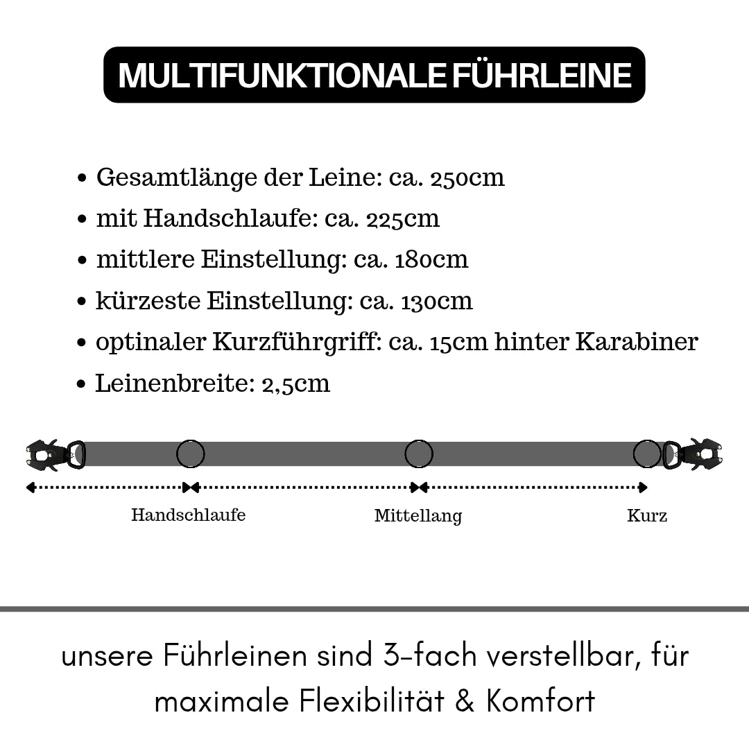 taktische Nylon Führleine Silver Grey