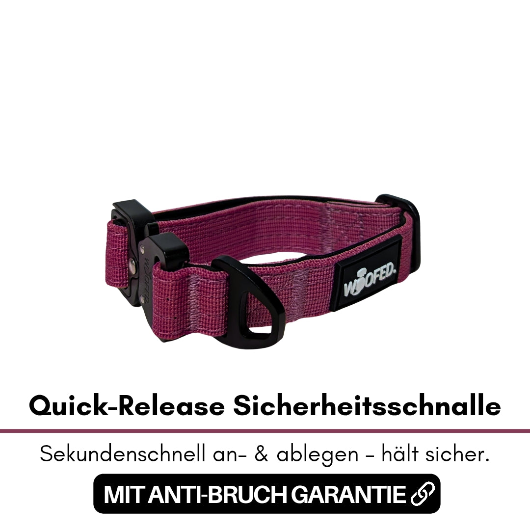Nylon Tactical Halsband für kleine Hunde Bordeaux