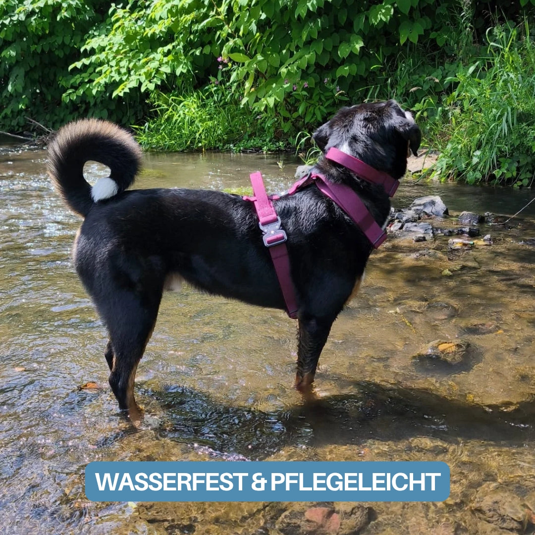 Y-Hundegeschirr WOOFLEX® 4fach-verstellbar mit Griff und Sicherheitsschnallen Burgundy - wasserfest