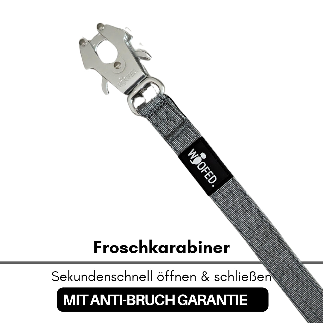 taktische Nylon Führleine Silver Grey