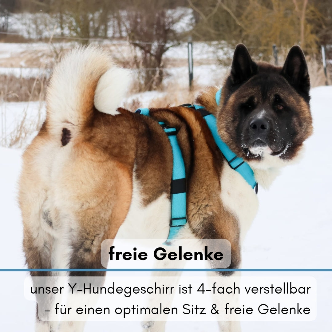 Y-Hundegeschirr 4fach-verstellbar mit Griff und Sicherheitsschnallen Arctic Sky - ultraleicht