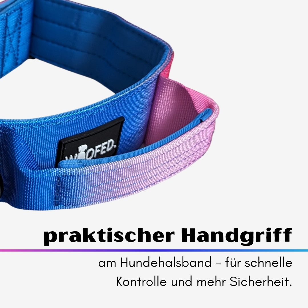 taktisches Nylon Halsband Pink Blue Sky
