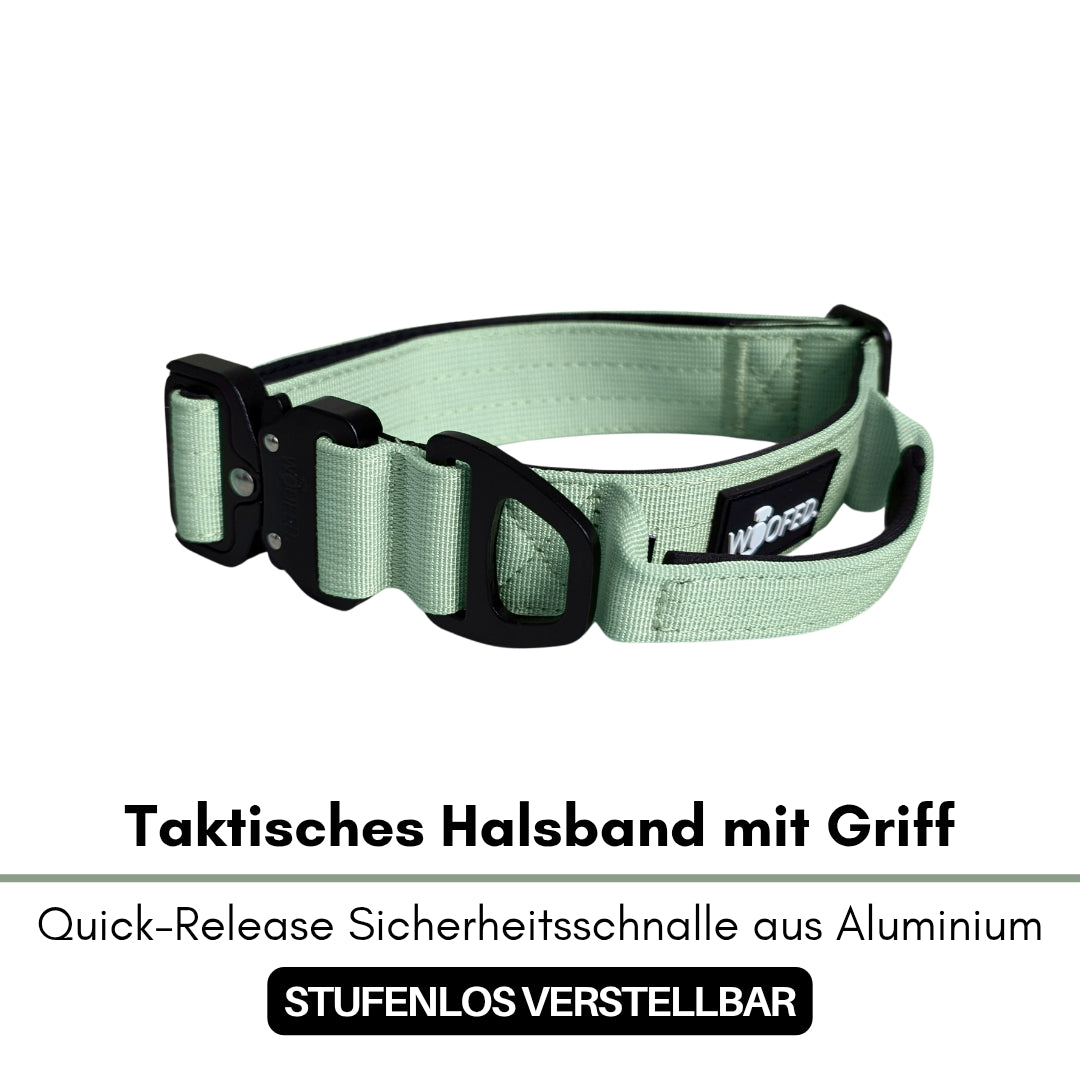 Halsband-Leinen-Set Nylon Sage Green
