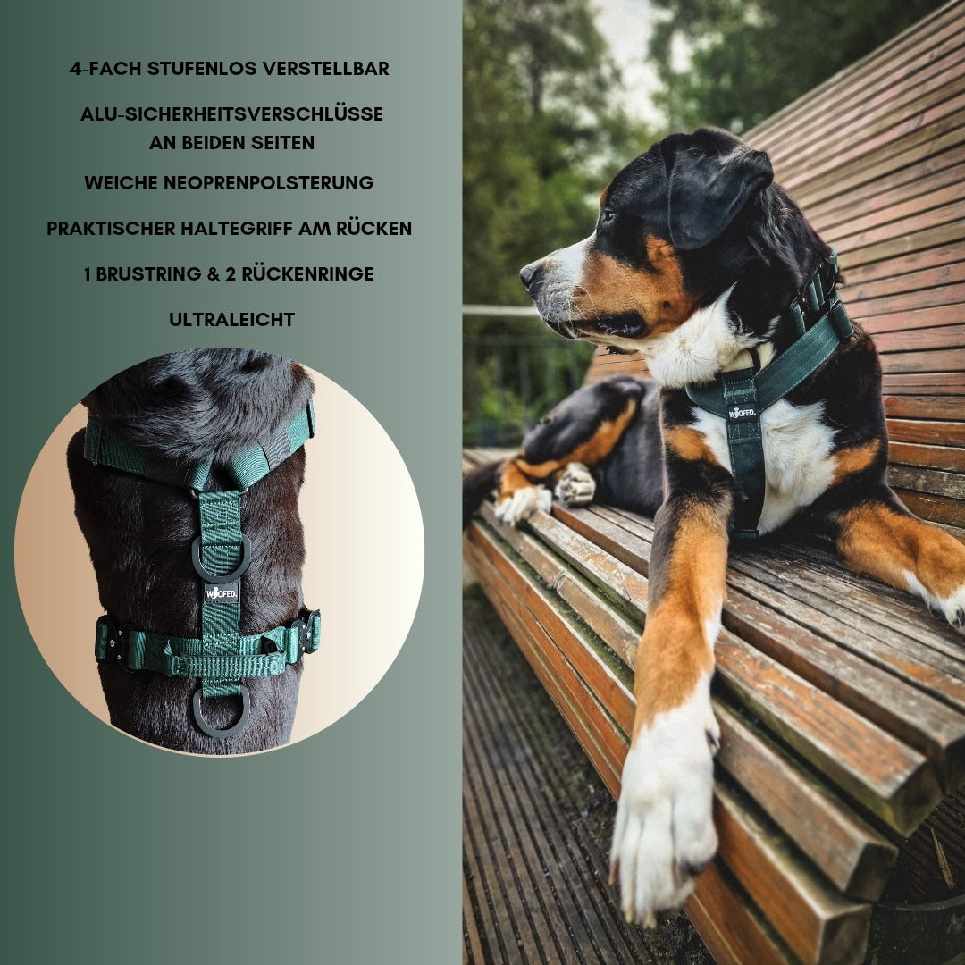 Y-Hundegeschirr 4fach-verstellbar mit Griff und Sicherheitsschnallen Dark Green - ultraleicht
