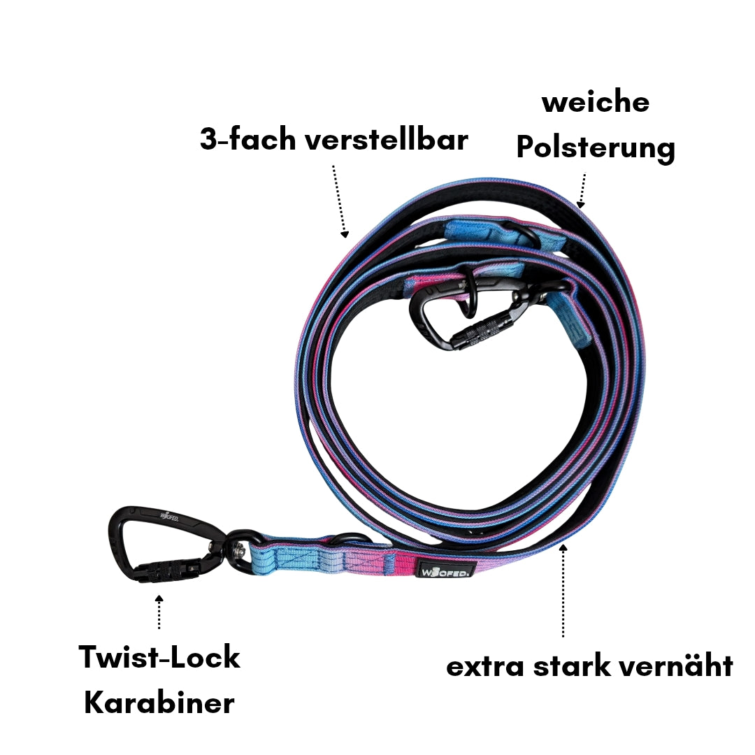 Nylon Pro Führleine Pink Blue Sky