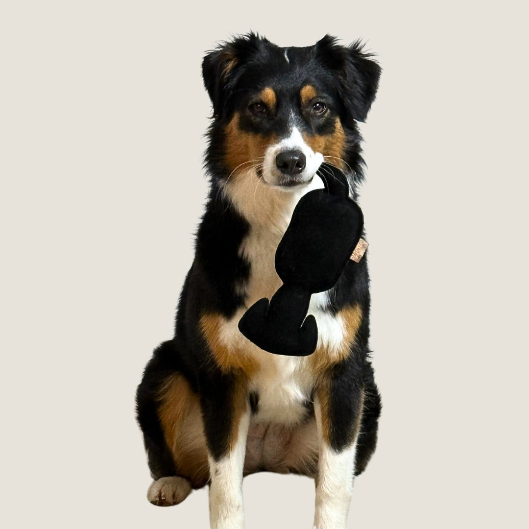 Hundespielzeug "WOOFED." Logo Hund