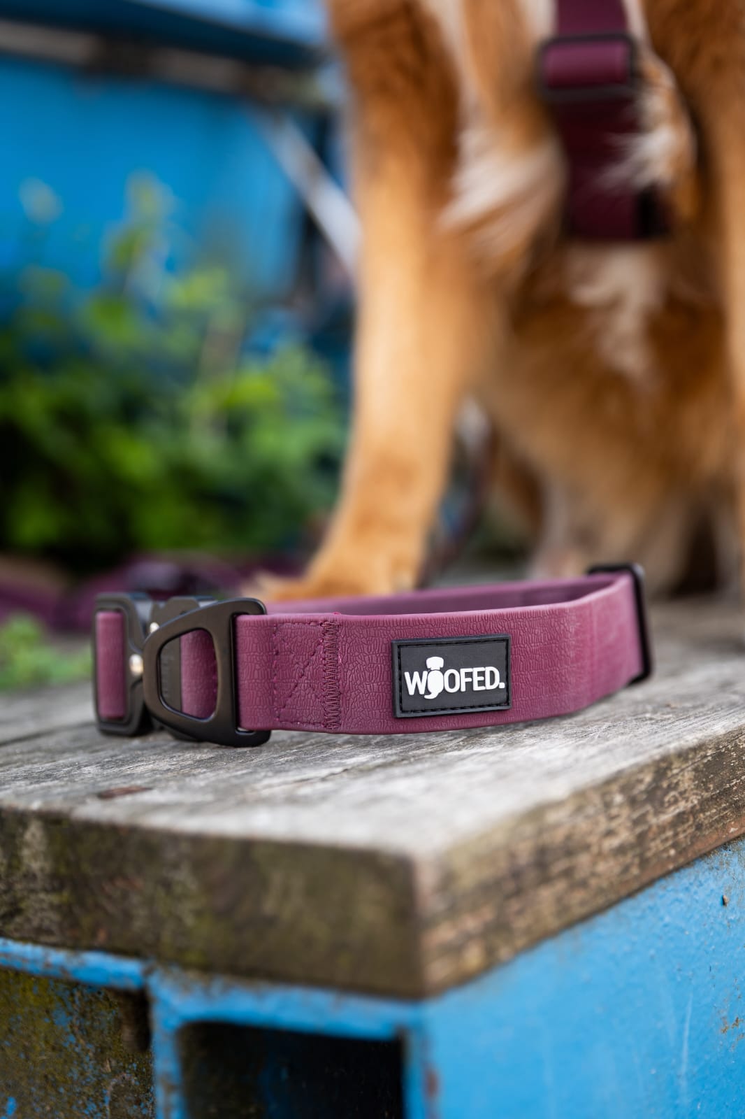 Halsband WOOFLEX® Tactical verstellbar ohne Griff Burgundy