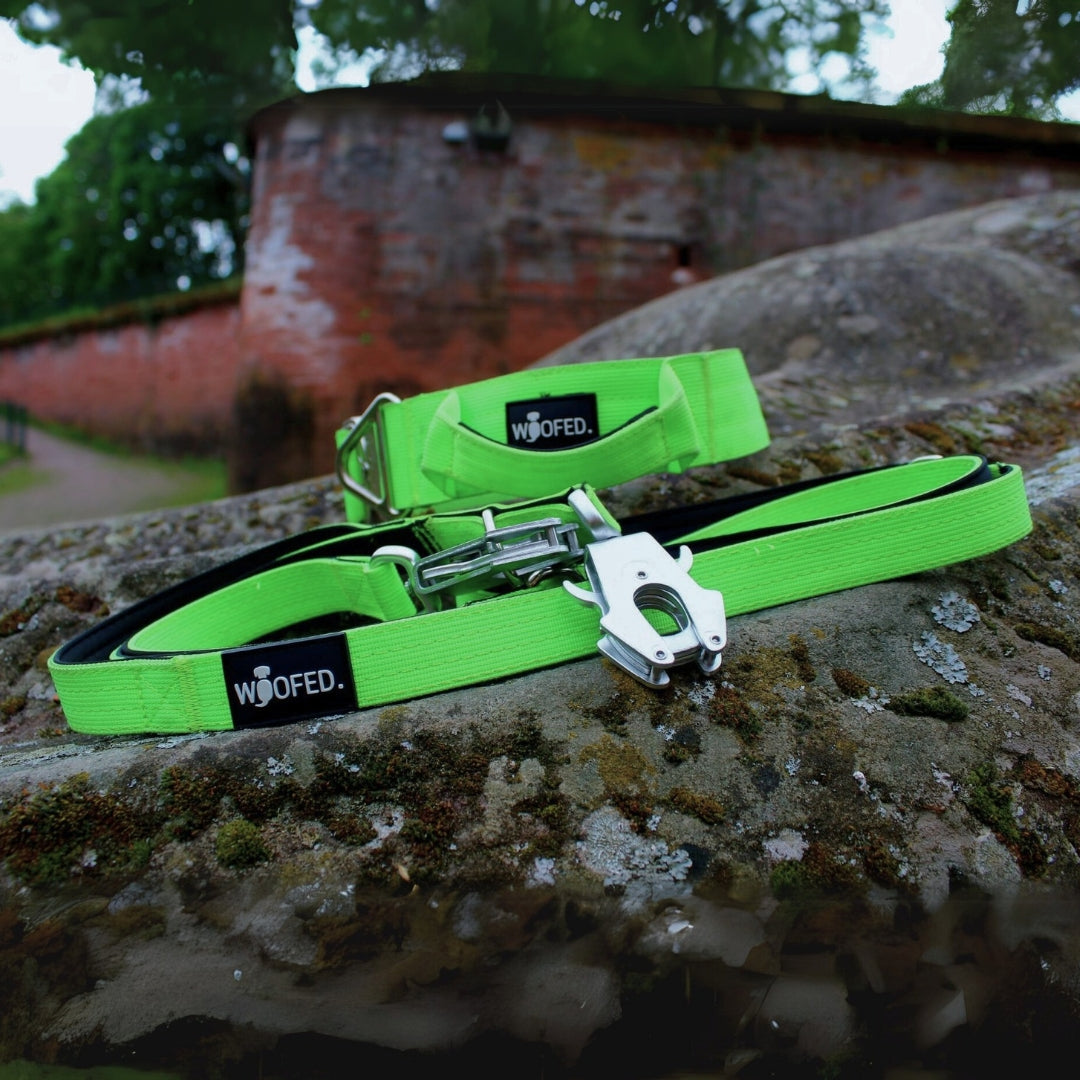 taktische Nylon Führleine Apple Green
