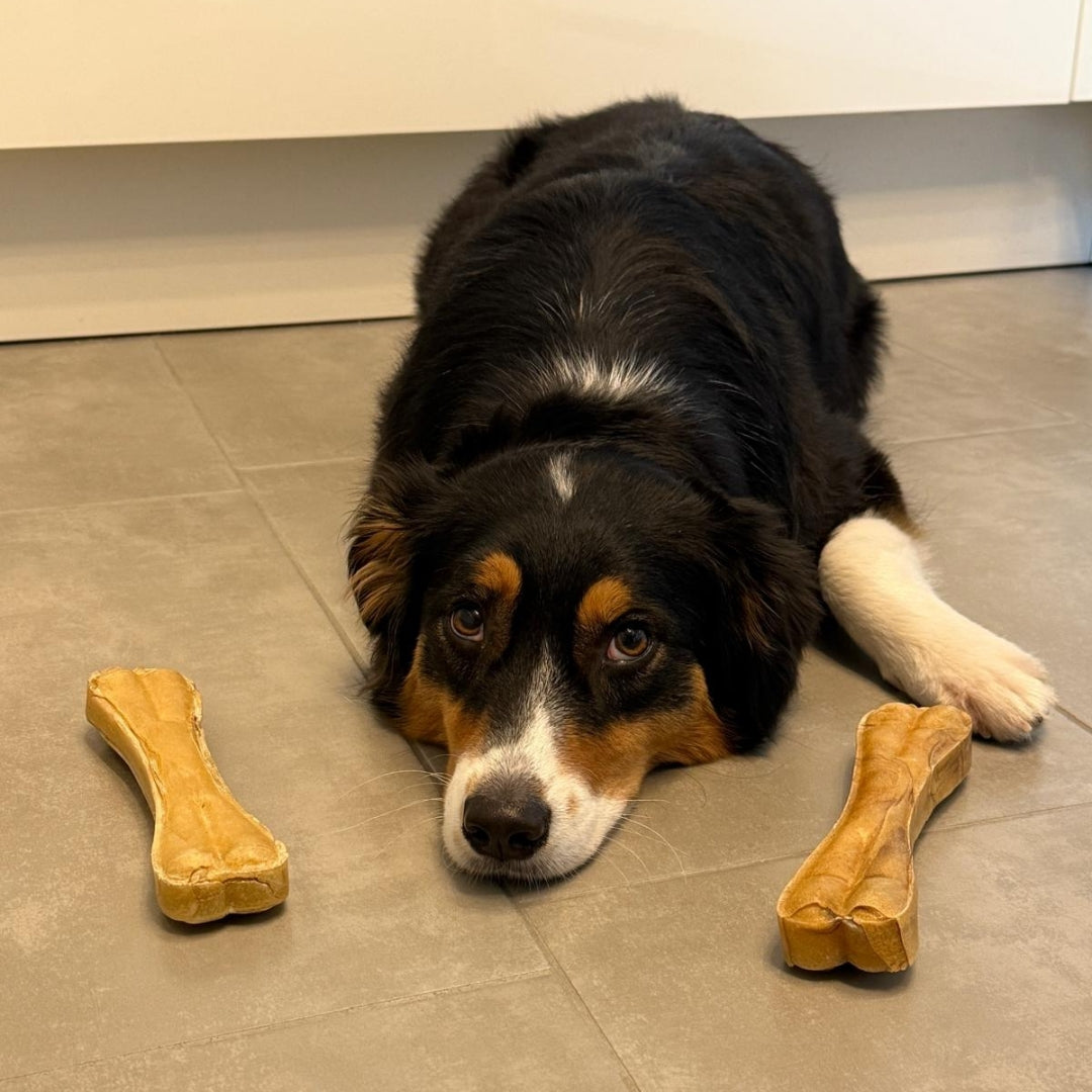 Büffelhaut Kauknochen