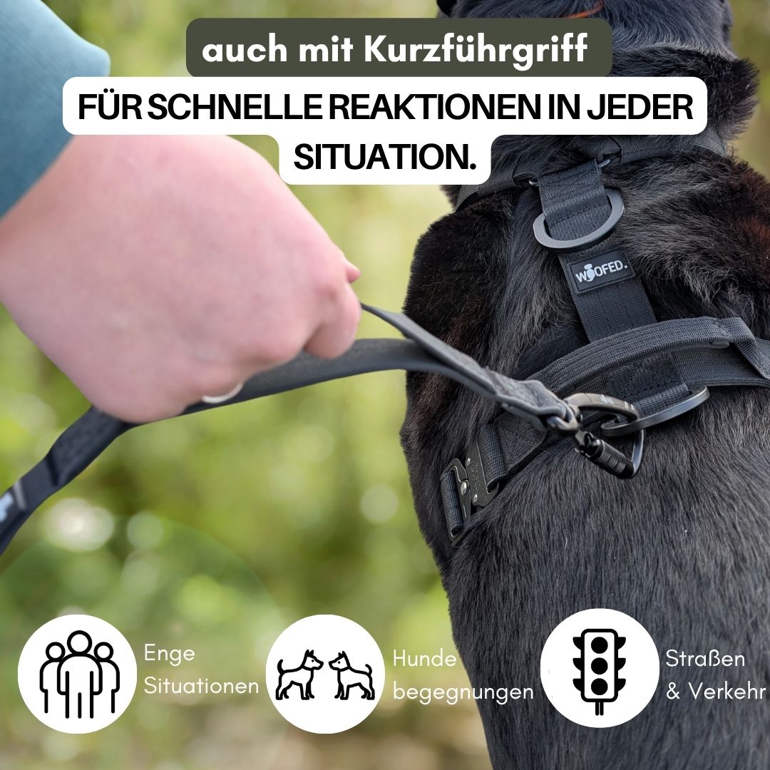 Hand hält schwarzen Kurzführgriff der Schleppleine, Nahaufnahme von Karabiner am schwarzen Hundegeschirr