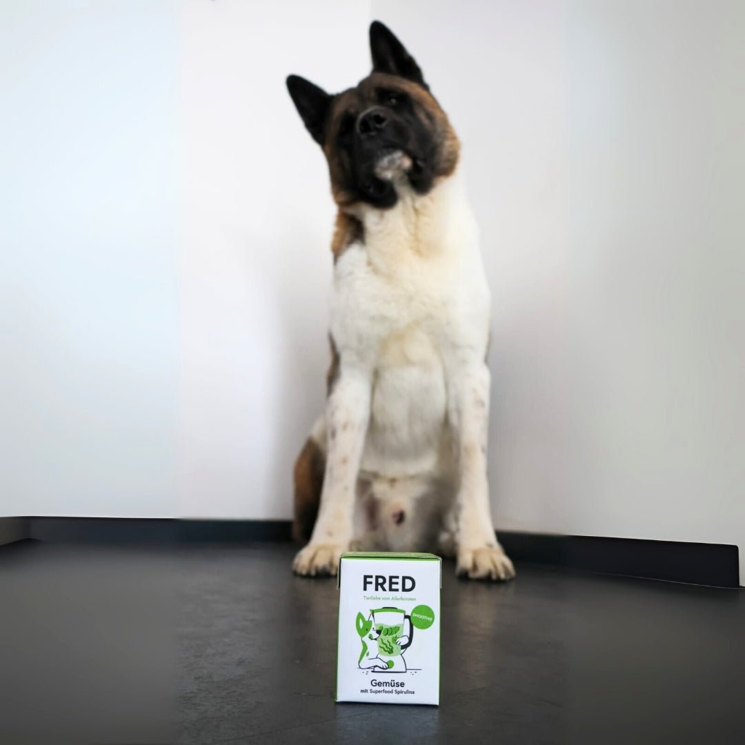 Weiße Schachtel mit grünem "FRED Gemüse"-Aufdruck im Vordergrund, unscharfer braun-weißer Hund sitzt im Hintergrund
