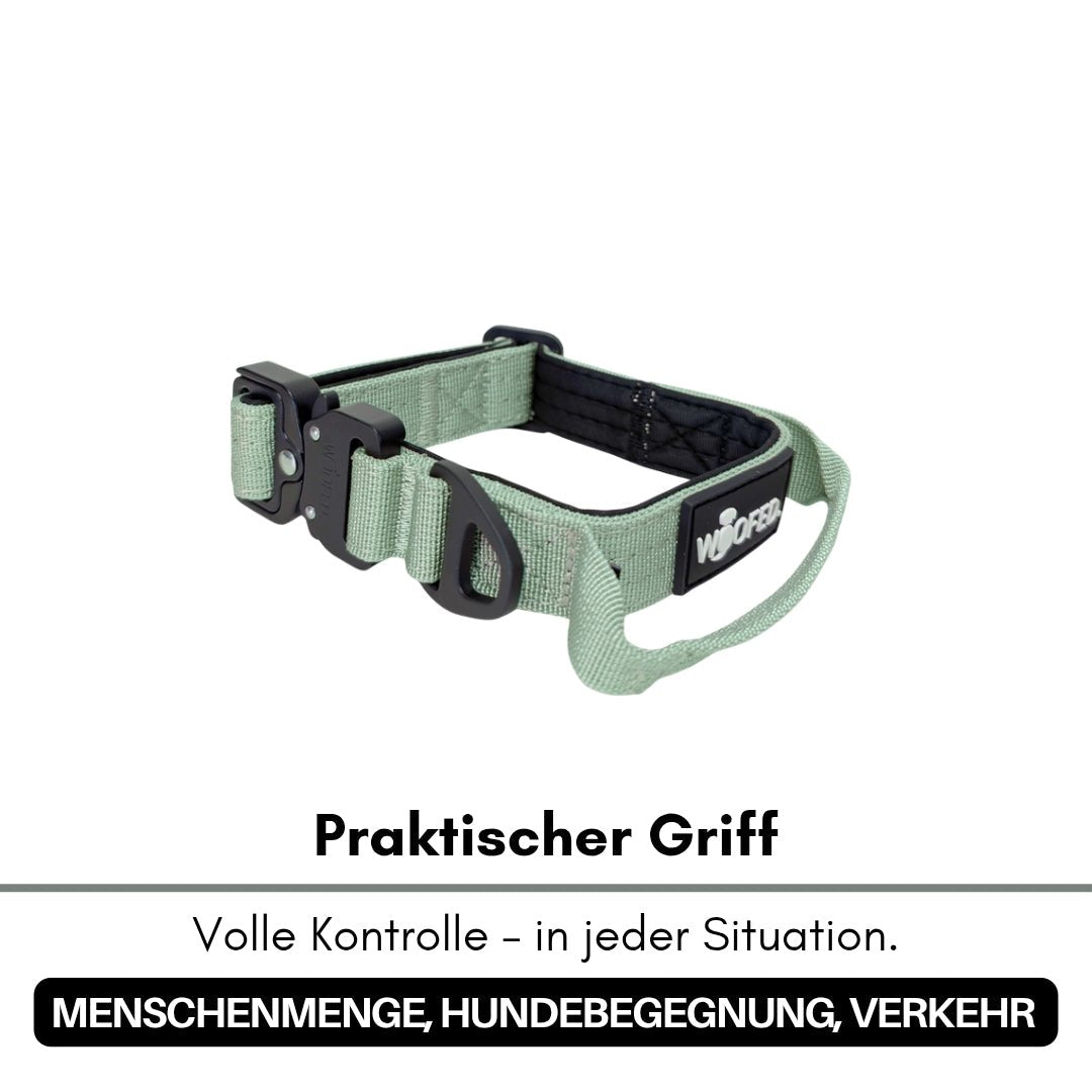 Sagegrünes taktisches Halsband mit schwarzer Metallschnalle, gepolsterter Innenseite, Griff und WOOFED-Logo