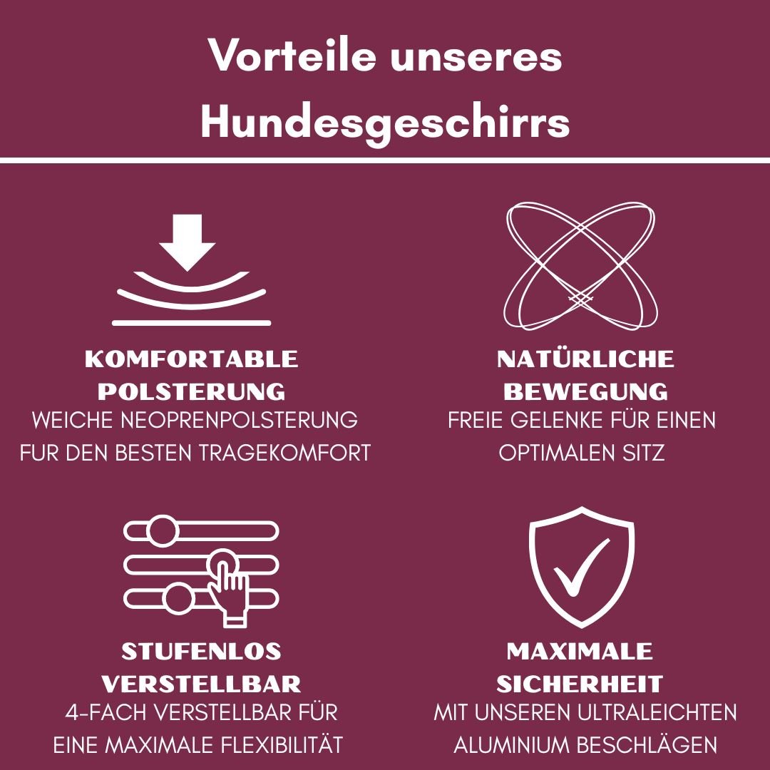 Bordeauxfarbene Infografik mit vier Symbolen zu Vorteilen des Y‑Hundegeschirrs: Polsterung, Bewegungsfreiheit, 4‑fach verstel