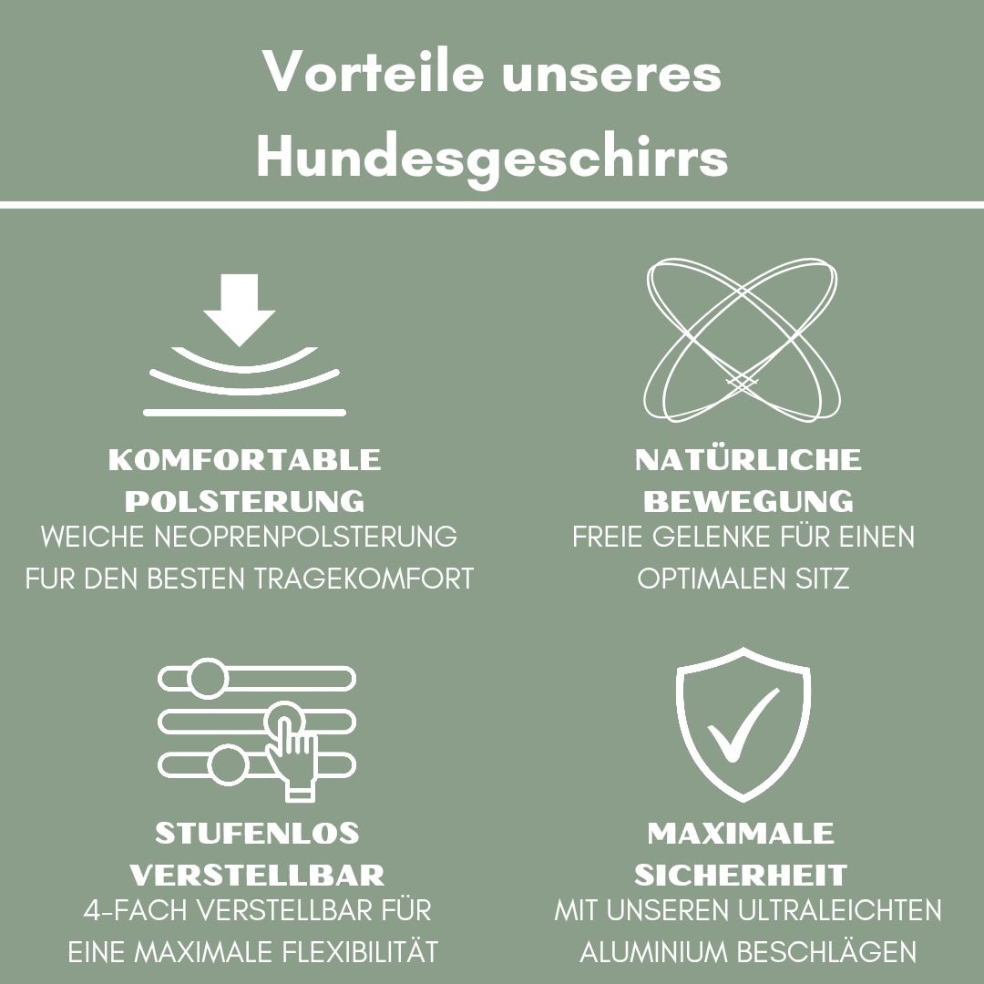 Salbeigrüne Infografik mit weißen Icons: Komfortpolsterung, natürliche Bewegung, 4‑fach verstellbar, maximale Sicherheit