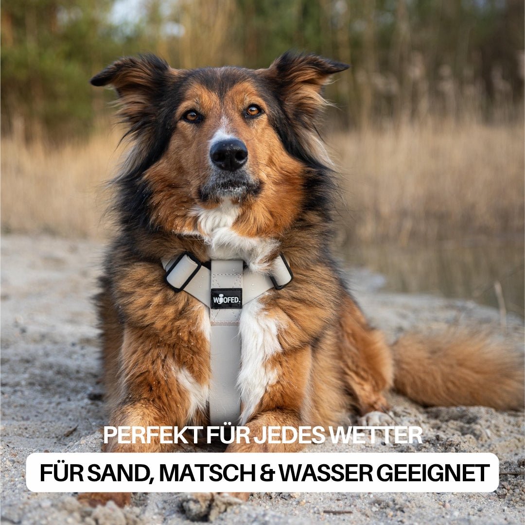 Y - Hundegeschirr WOOFLEX® 4fach - verstellbar mit Griff und Sicherheitsschnallen Desert Sand - wasserfest - WOOFED.