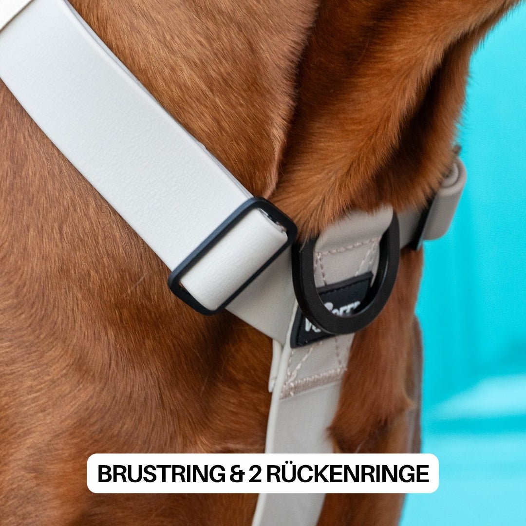 Y - Hundegeschirr WOOFLEX® 4fach - verstellbar mit Griff und Sicherheitsschnallen Desert Sand - wasserfest - WOOFED.