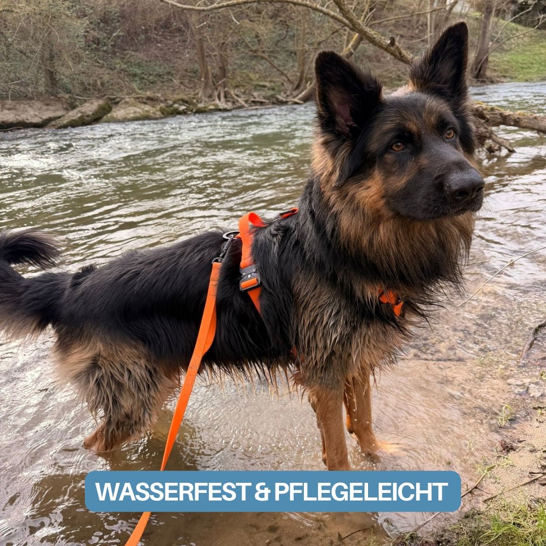 Y - Hundegeschirr WOOFLEX® 4fach - verstellbar mit Griff und Sicherheitsschnallen Sunset Orange - wasserfest - WOOFED.
