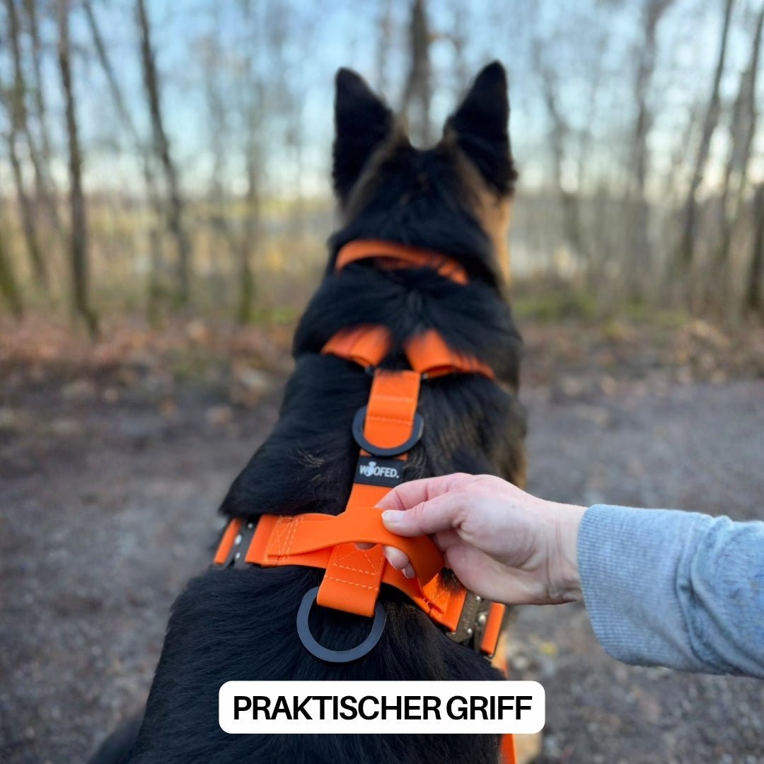Y - Hundegeschirr WOOFLEX® 4fach - verstellbar mit Griff und Sicherheitsschnallen Sunset Orange - wasserfest - WOOFED.