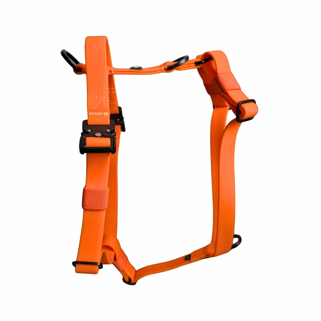 Y - Hundegeschirr WOOFLEX® 4fach - verstellbar mit Griff und Sicherheitsschnallen Sunset Orange - wasserfest - WOOFED.