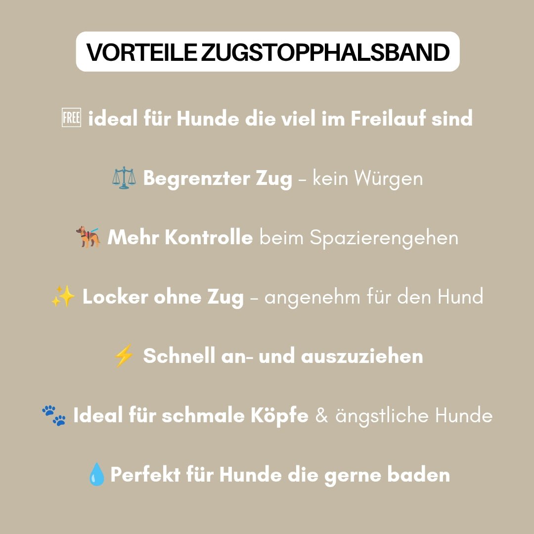 Zugstopphalsband WOOFLEX® Desert Sand - WOOFED.