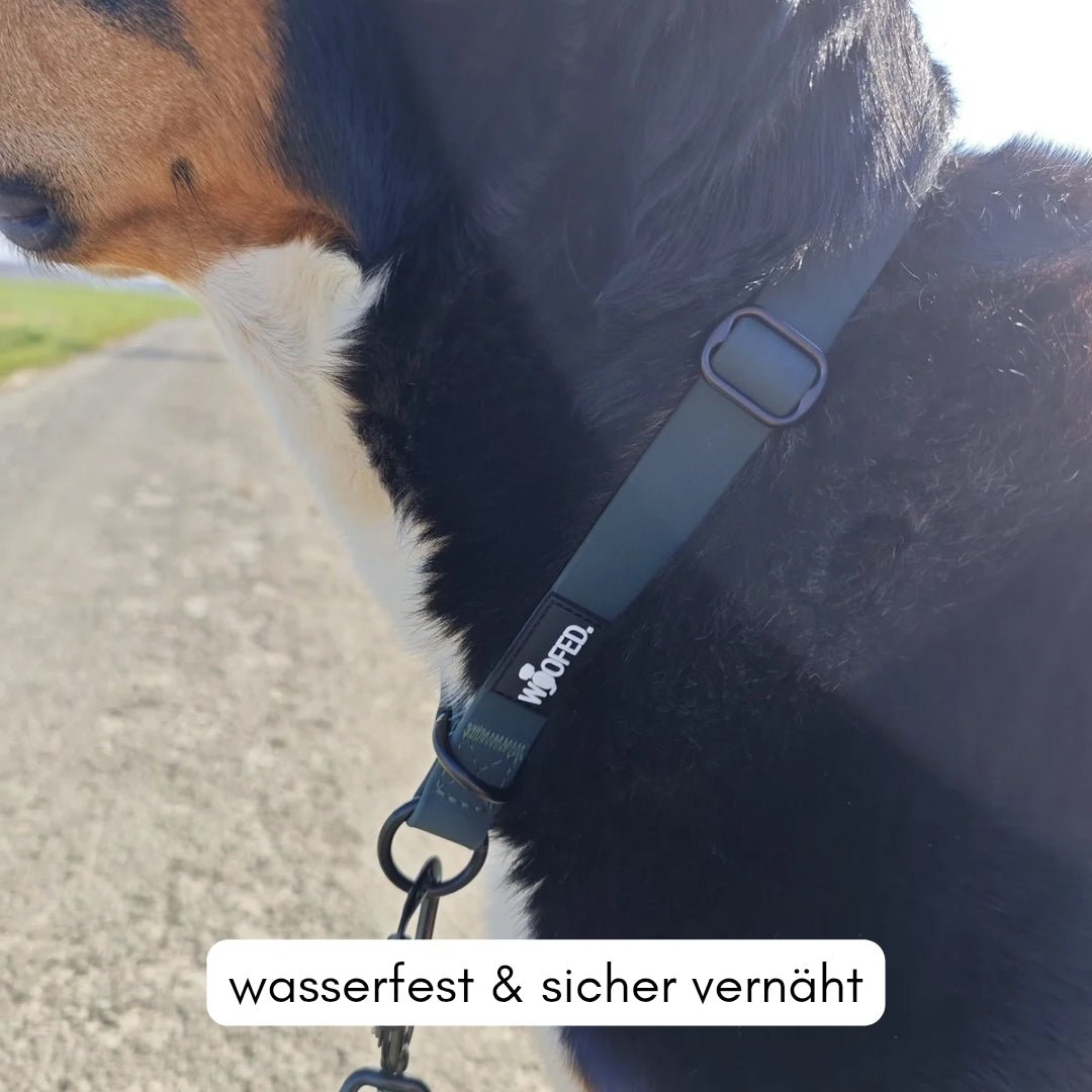 Zugstopphalsband WOOFLEX® Hunting Green - WOOFED.