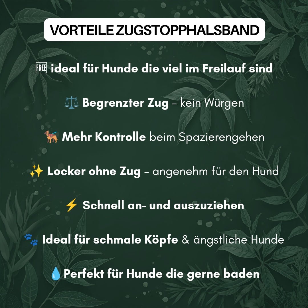 Zugstopphalsband WOOFLEX® Hunting Green - WOOFED.