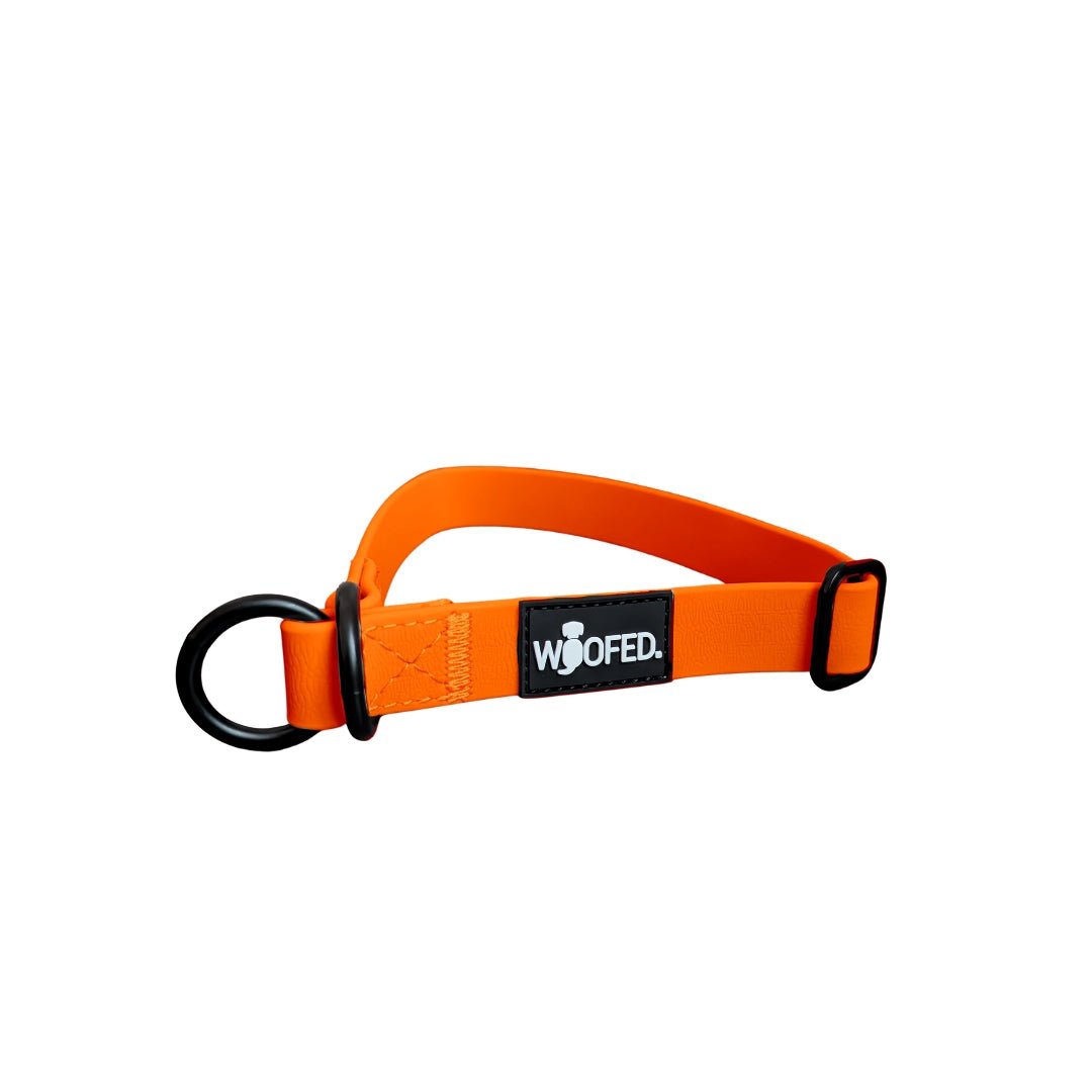 Zugstopphalsband WOOFLEX® Sunset Orange - WOOFED.