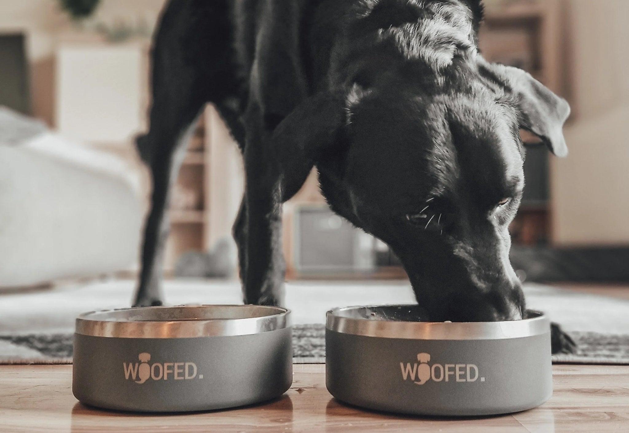 WOOFED. Premium Edelstahlnapf für Hunde 