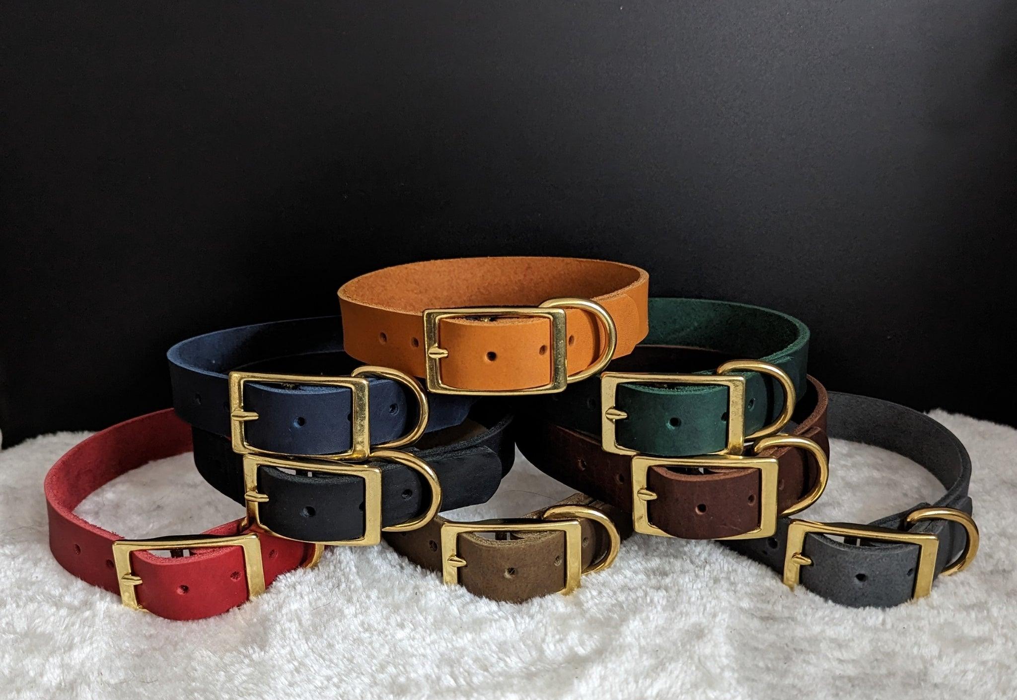 Fettleder Halsbänder in tollen Farben, tolles butterweiches Material für Hunde 