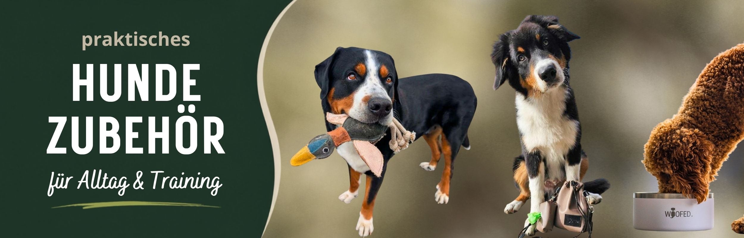 Praktisches Hundezubehör für Alltag und Training - Hund mit Hundespielzeug Ente, Hund mit Napf und Leckerlibeutel 