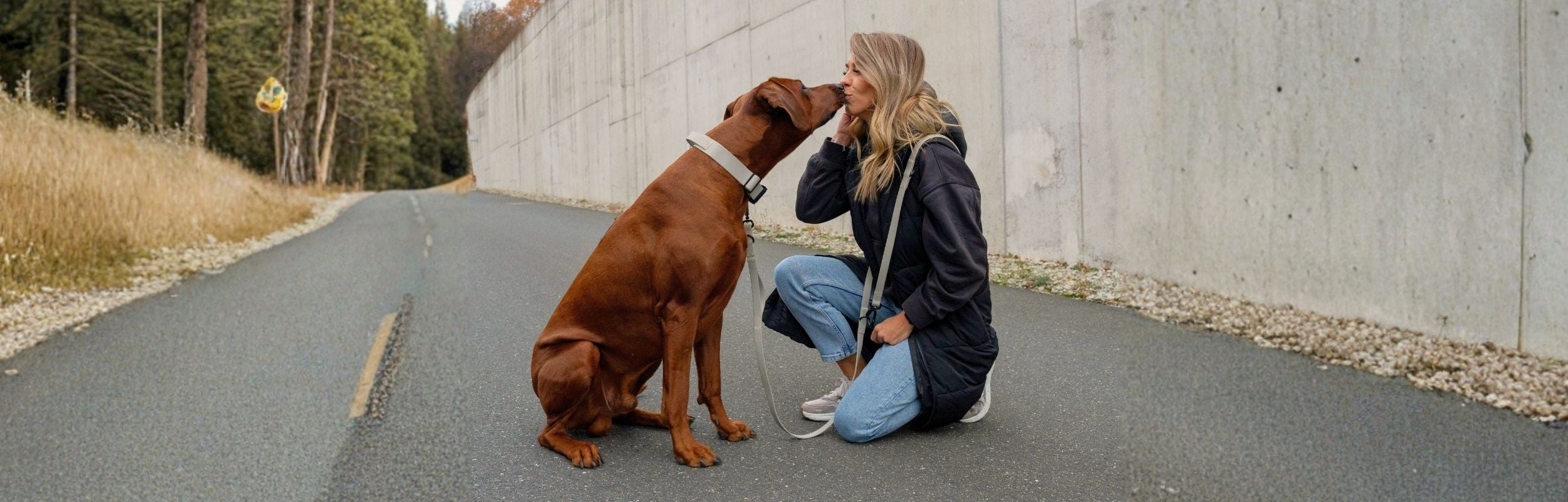 wasserfeste Hundeleine in Beige an Ridgeback mit Frauchen 