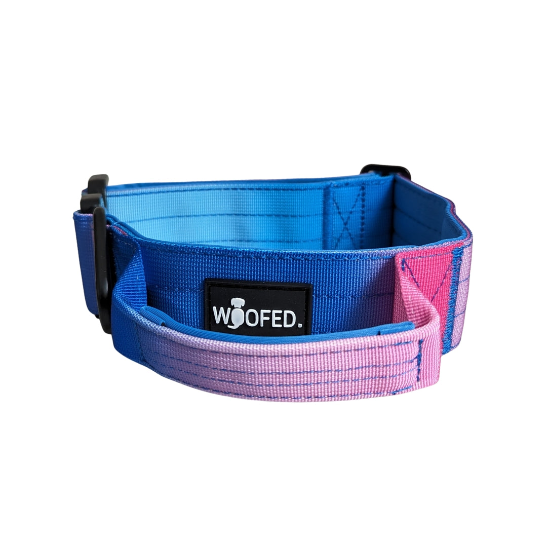 Nylon Tactical Halsband Pink Blue Sky