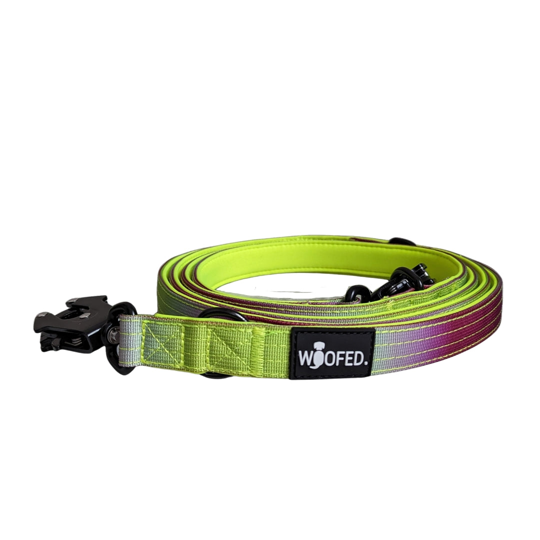 Nylon Tactical Führleine Lime Wine