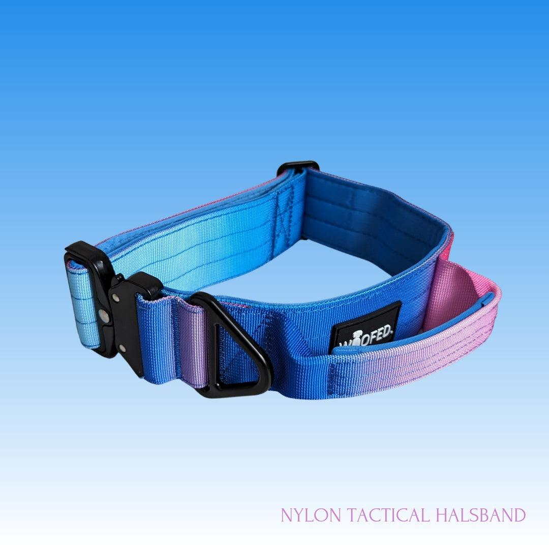 Nylon Tactical Halsband mit Farbverlauf in Blau Pink, weich gepolstert, mit Haltegriff und Sicherheitsschnalle