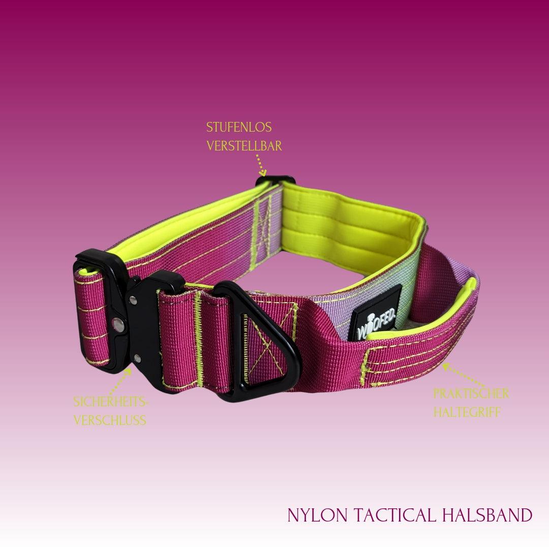 Taktisches Halsband - stufenlos verstellbar, Sicherheitsschnalle und Haltegriff