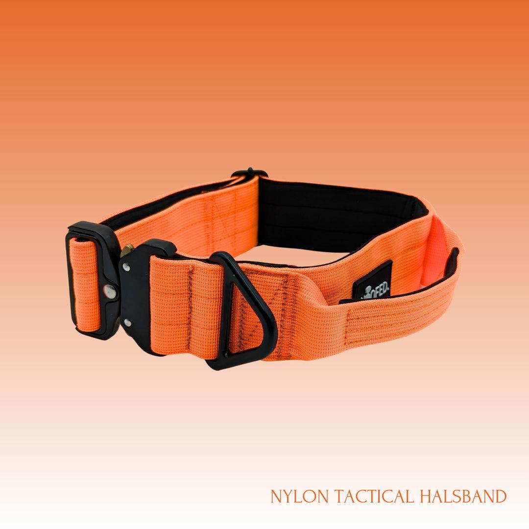 Taktisches Hundehalsband in Orange in 5cm Breite, Sicherheitsverschluss, gepolstert, mit Griff 