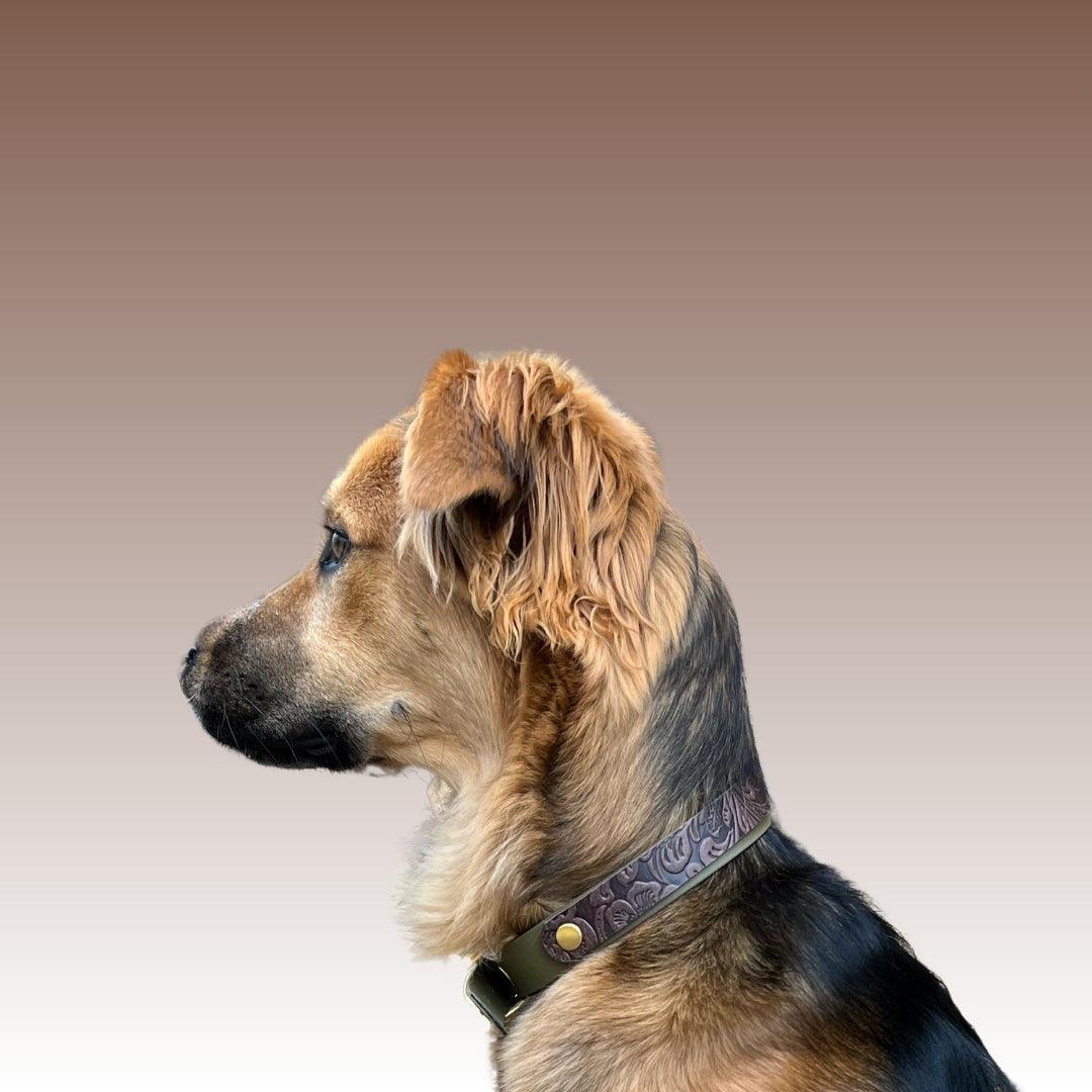 Floral Biothane Hundehalsband - blumiges Dunkelbraun mit Oliv und Messing Beschlägen 