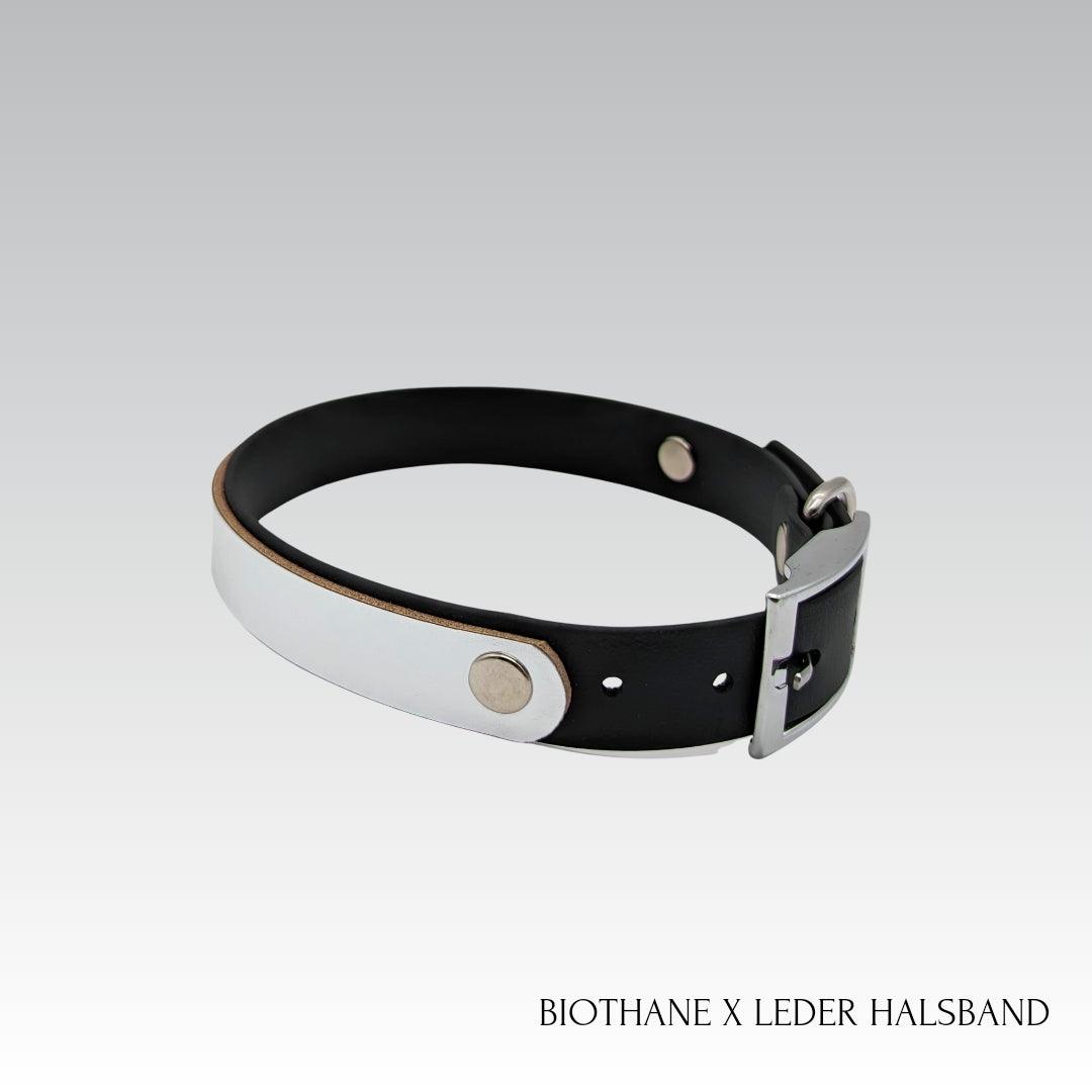 Biothane Halsband mit Metallic Leder für einen exklusiven, hochwertigen Look 