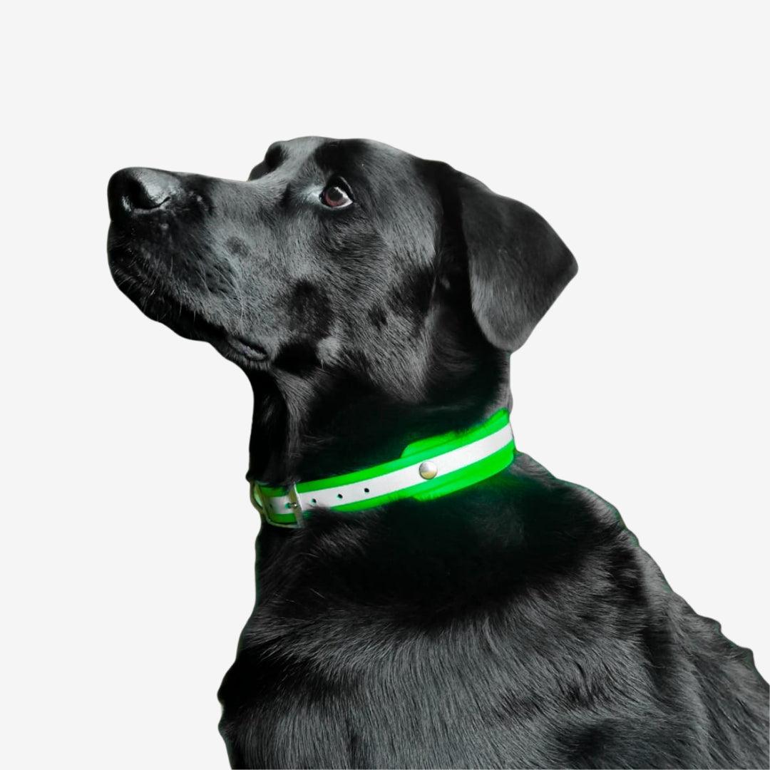 Biothane Reflective Halsband NEON GREEN - WOOFED.