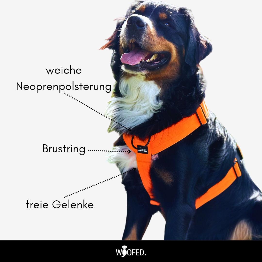 Y-Hundegeschirr 4fach-verstellbar mit Griff und Sicherheitsschnallen SAFETY ORANGE - WOOFED.