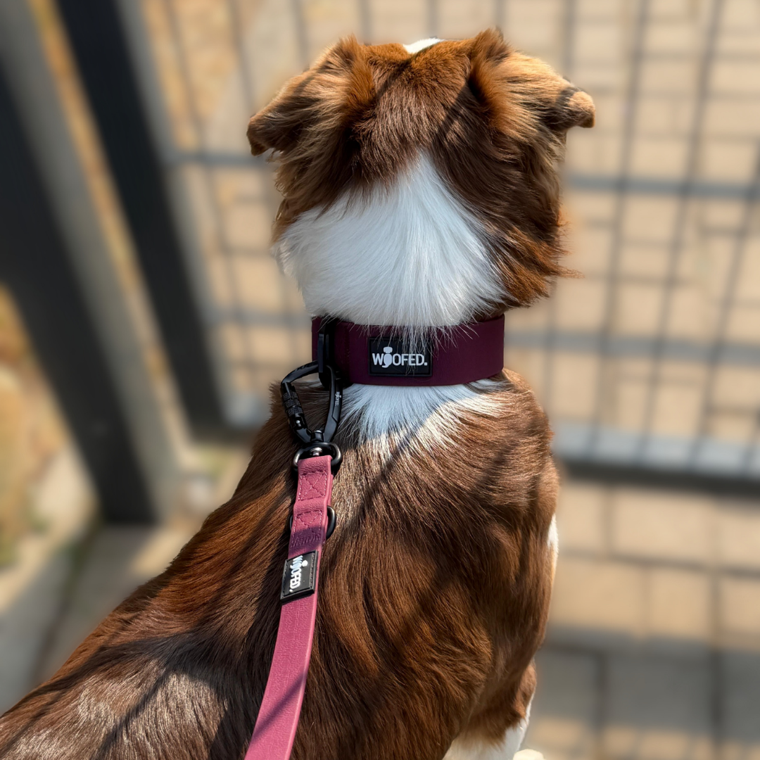 Halsband WOOFLEX® Tactical verstellbar ohne Griff Burgundy
