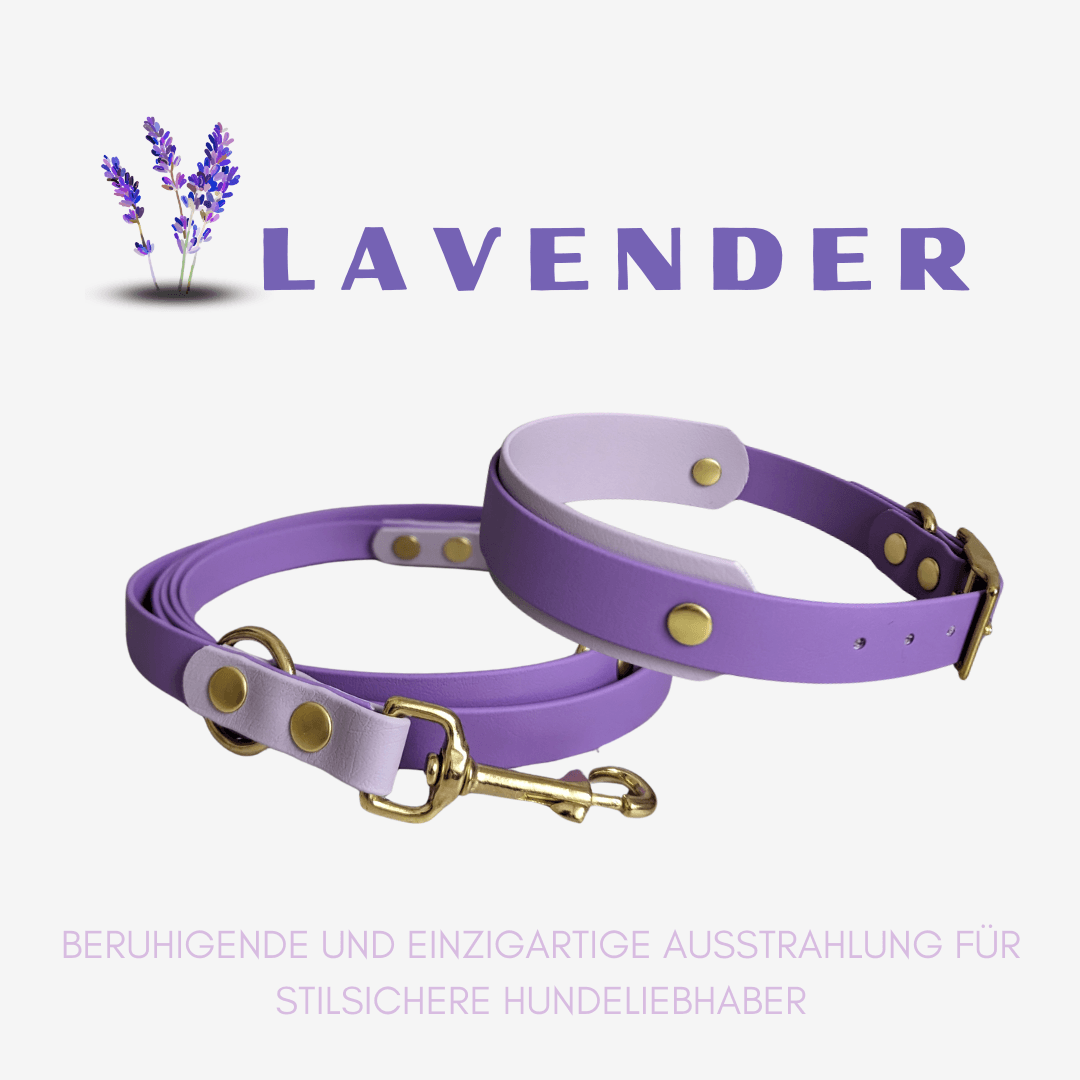 Biothane Halsband LAVENDER - WOOFED.