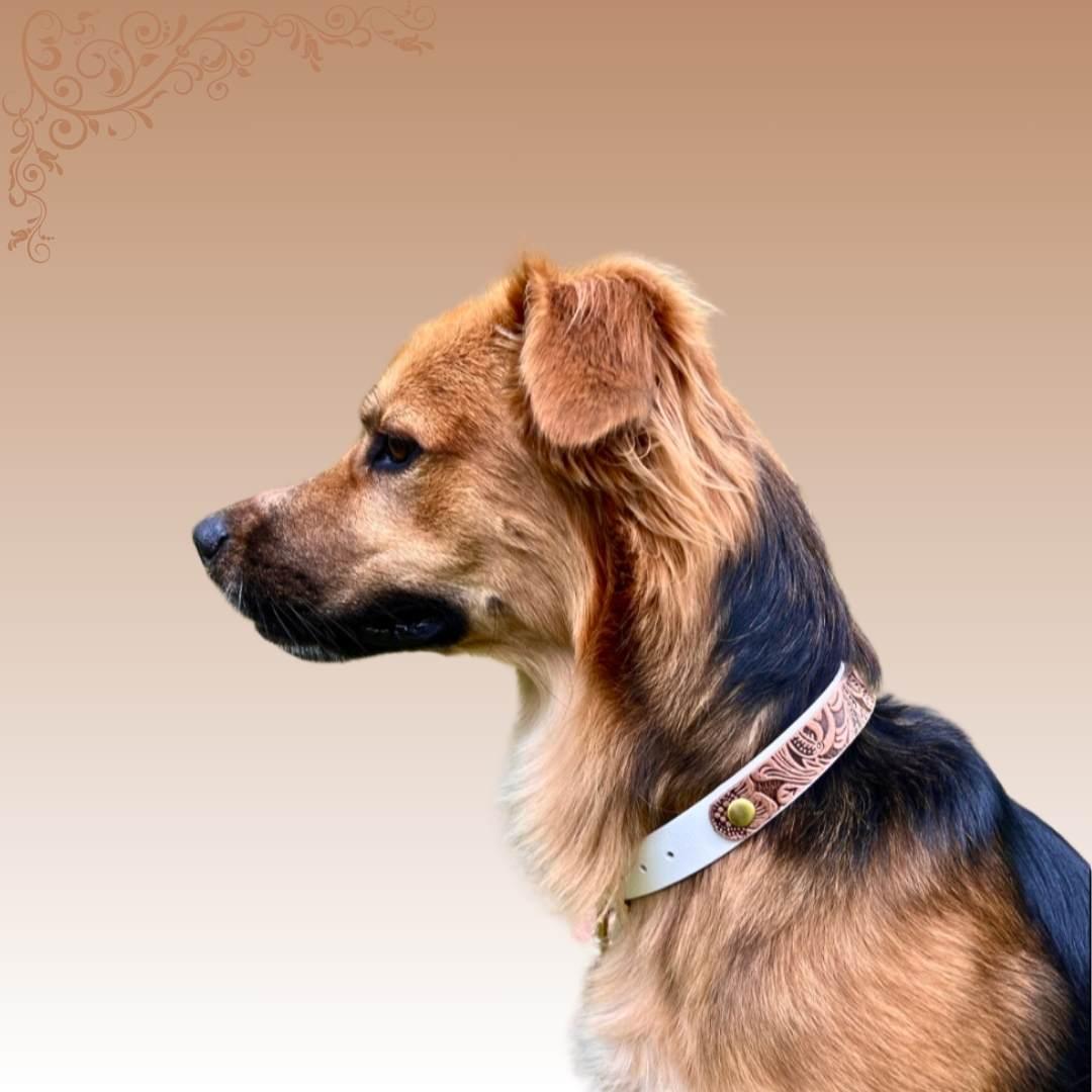 Floral Biothane Hundehalsband - edel und schick 