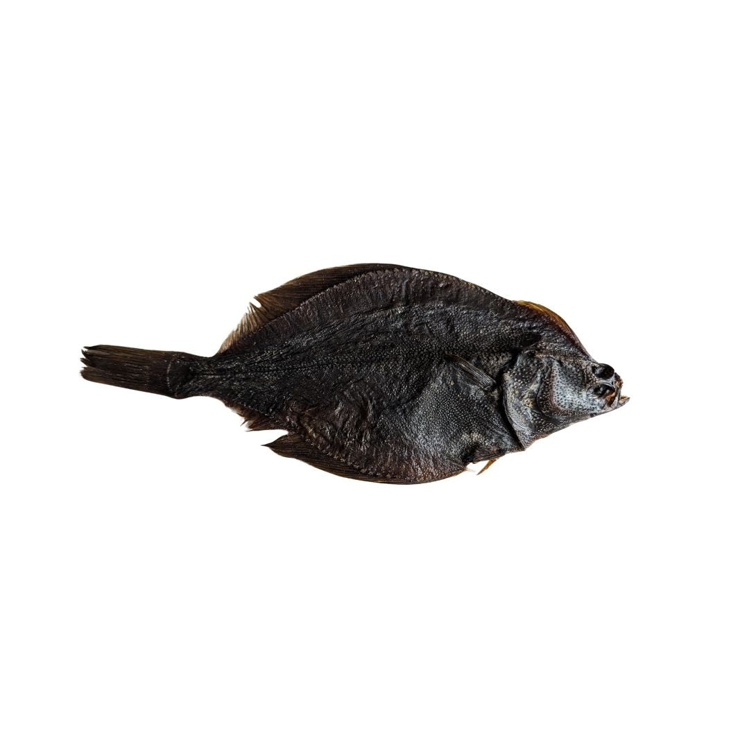 Flunder