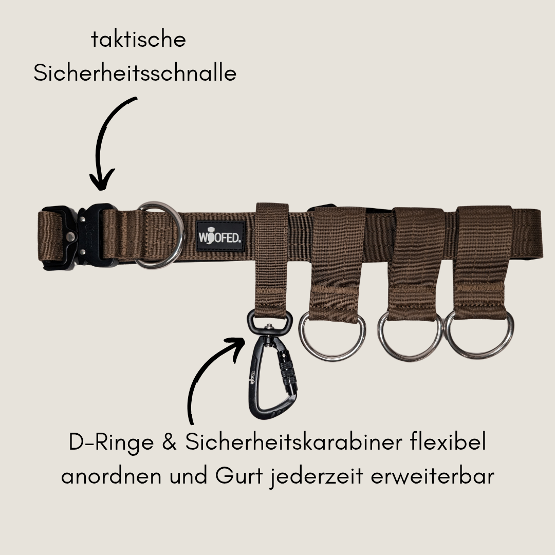 Dunkelbrauner Gassigürtel mit 3 D-Ringen und einem Twist Lock Karabiner 