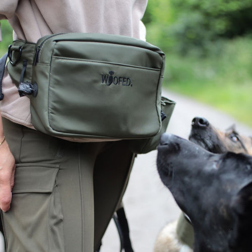 Olivgrüne Gassitasche mit gesticktem WOOFED‑Logo, Hüftansicht mit D‑Ring, zwei Hunde schnüffeln daran