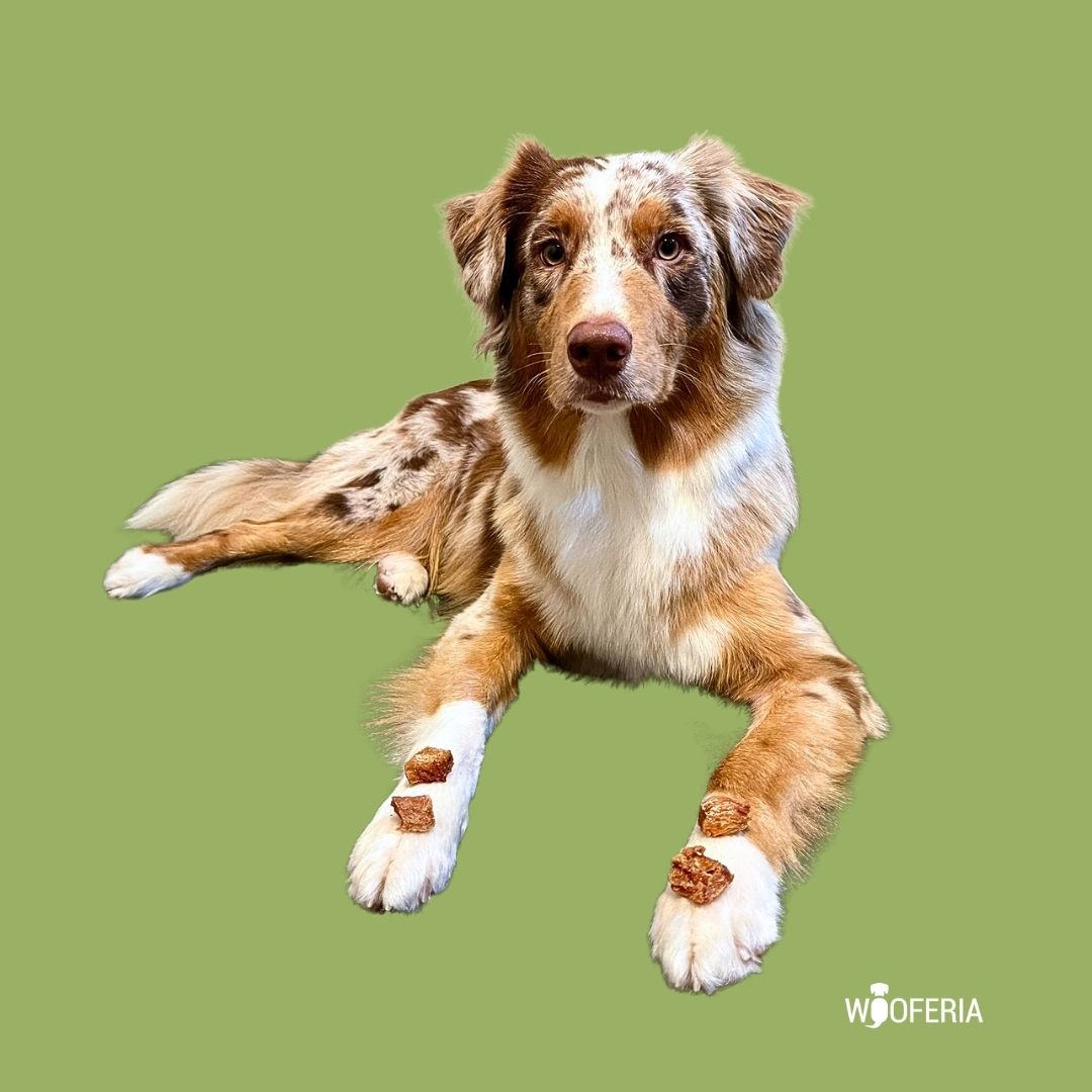 Hühnerfilet Würfel